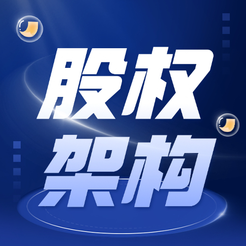 臨沂股權(quán)架構(gòu)